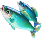 Dra på fisketur