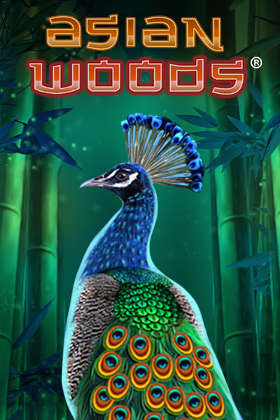 Link King Asian Woods