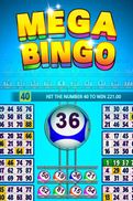 Mega Bingo