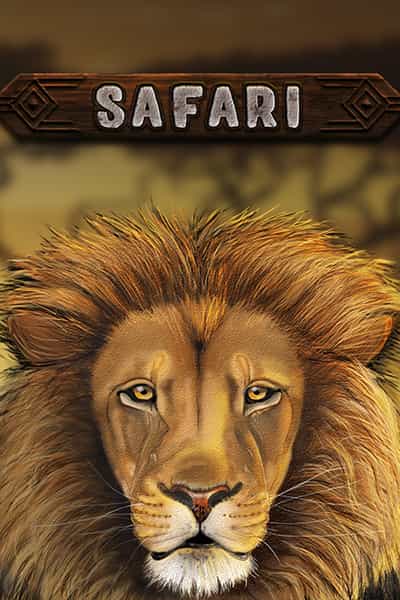 Safari