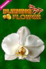 Burning Flower
